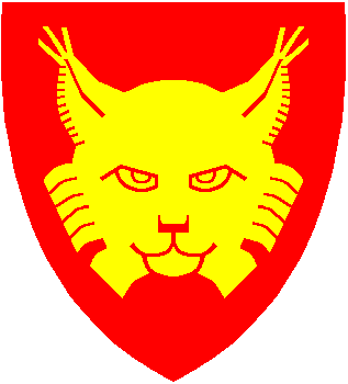 Hemsedal kommune 